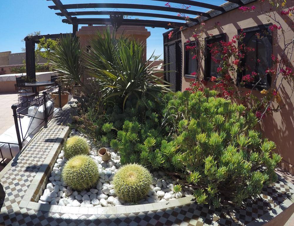 Riad Dar Saad - Hammam & Rooftop Café 2