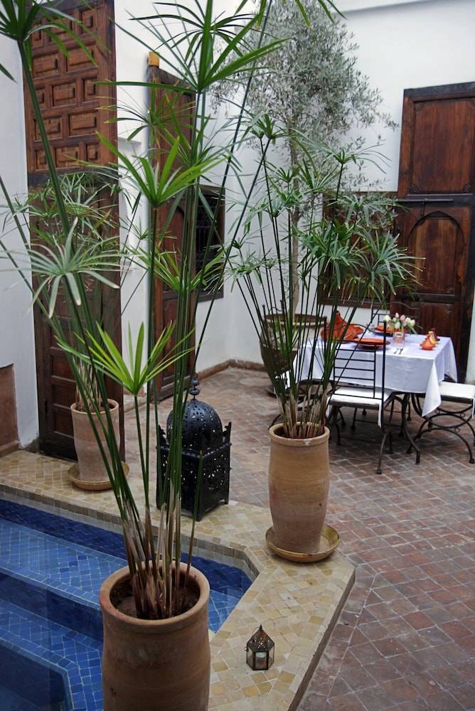 Riad Elixir 2