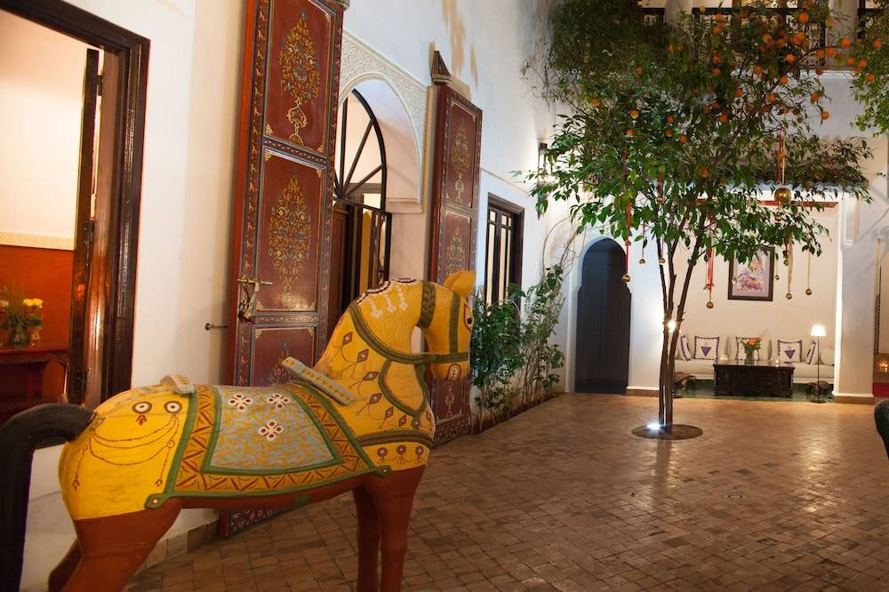 Riad Chergui 2