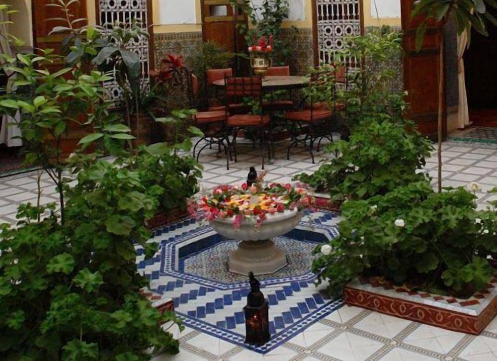 Riad Dalia 1