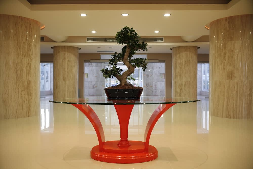 Sun Palace Hotel 2