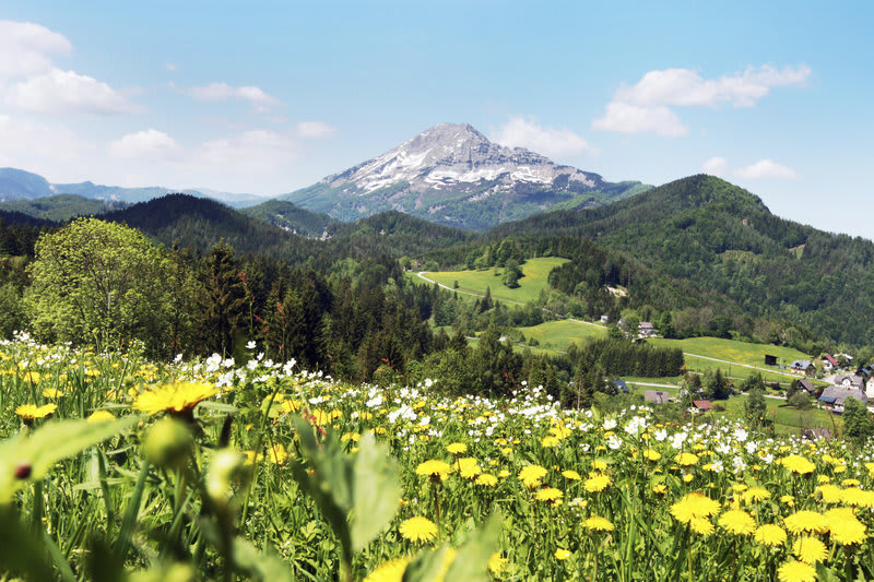 JUFA Hotel Annaberg 1