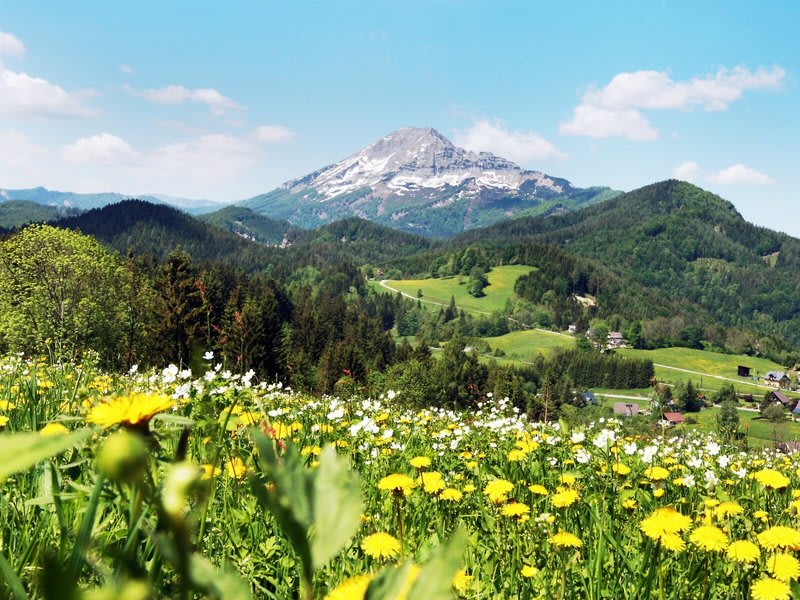 JUFA Hotel Annaberg 2