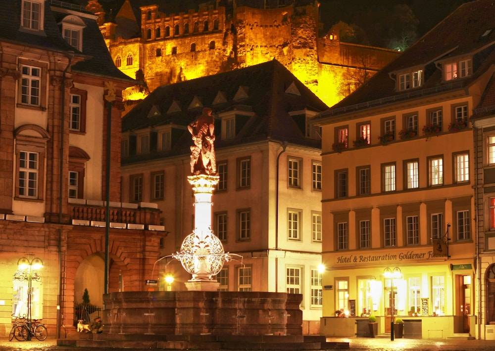 Hotel Goldener Falke 1