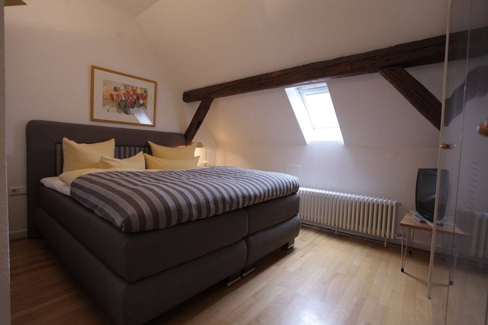 Hotel Goldener Falke 2
