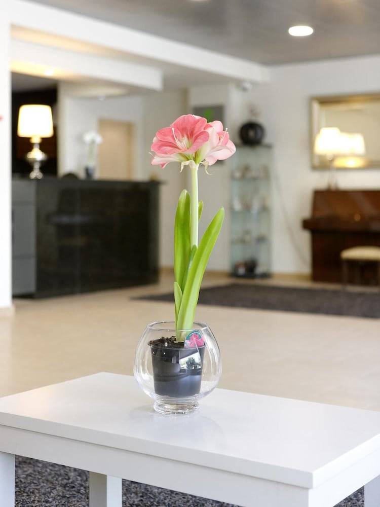 Cova da Iria Hotel 2