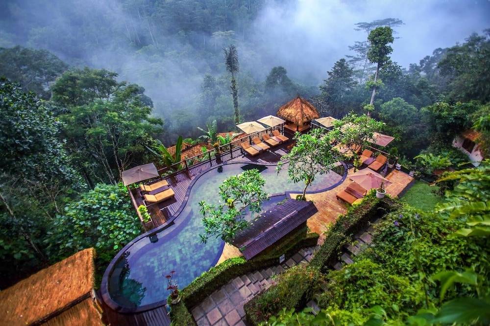 Nandini Jungle by Hanging Gardens 1