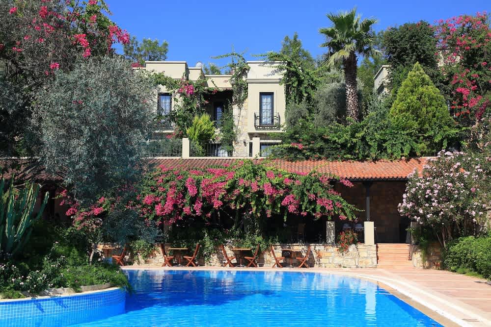 Hotel Zeytinada 1