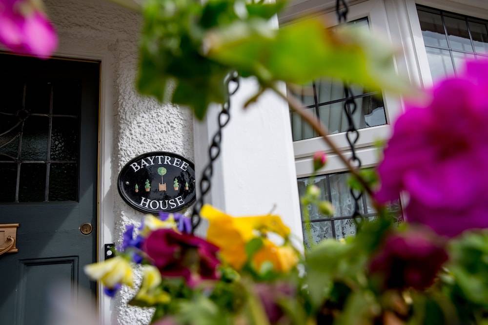 Bay Tree House Bed & Breakfast 1