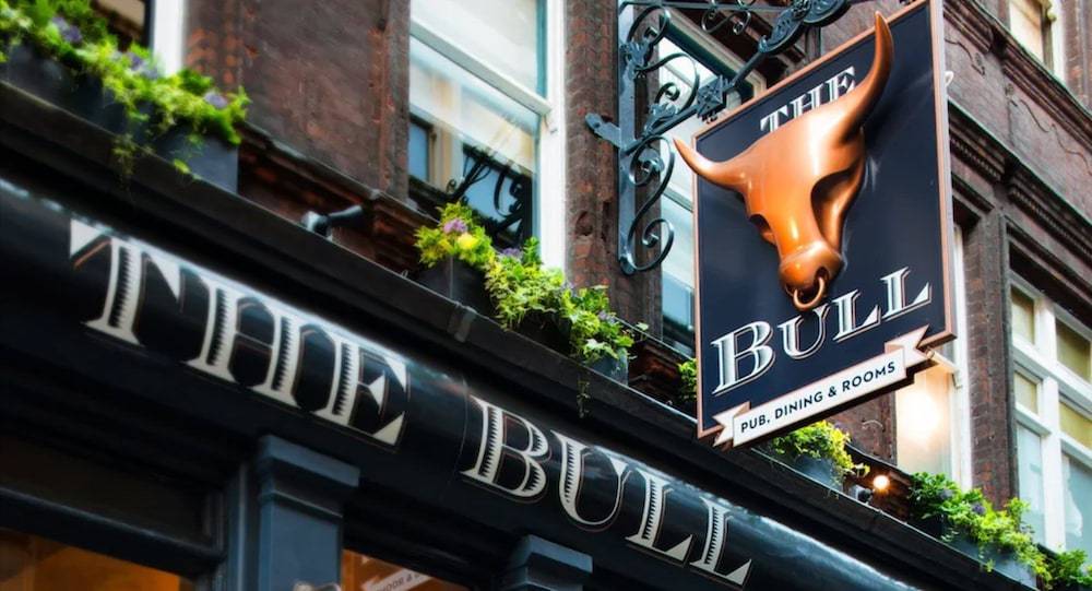 The Bull and The Hide 1