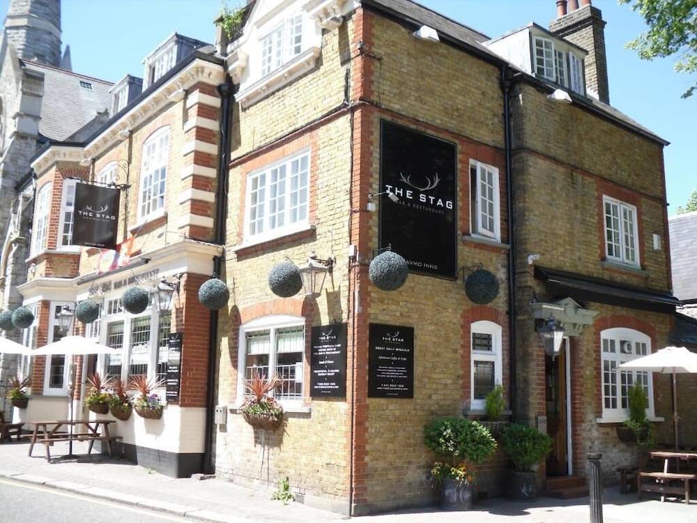 The Stag Enfield 1