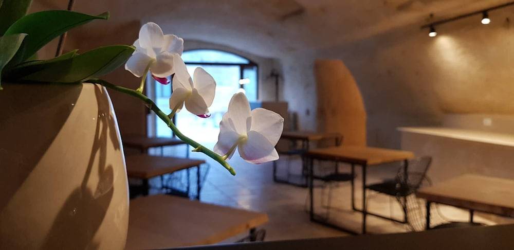 Residence Masseria Santa Lucia 2