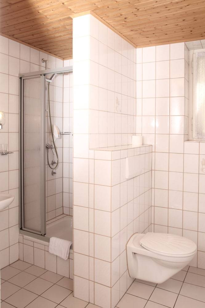 Stadt-gut-Hotel Rheinischer Hof 2