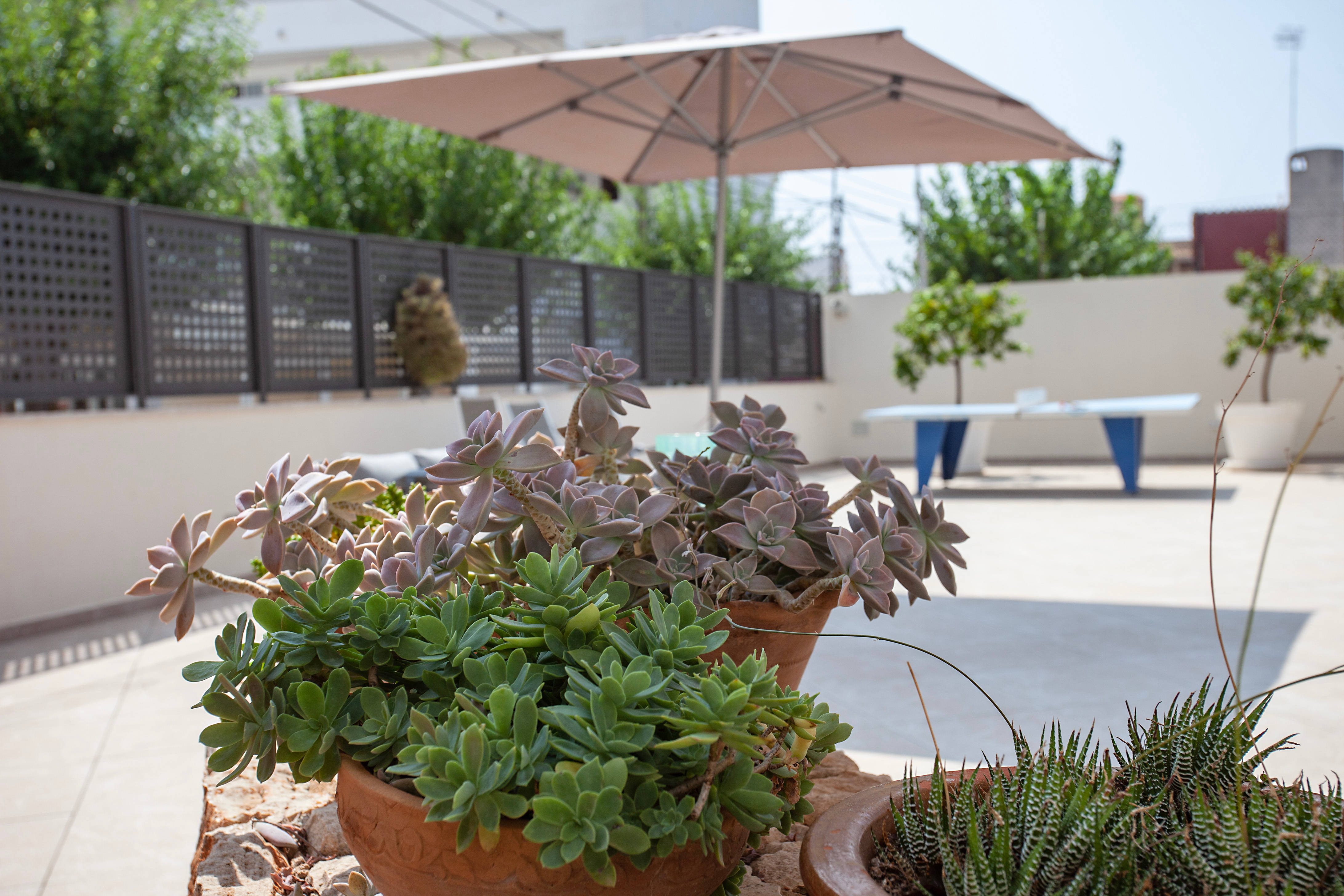 Hostal Residencia Sutimar 2