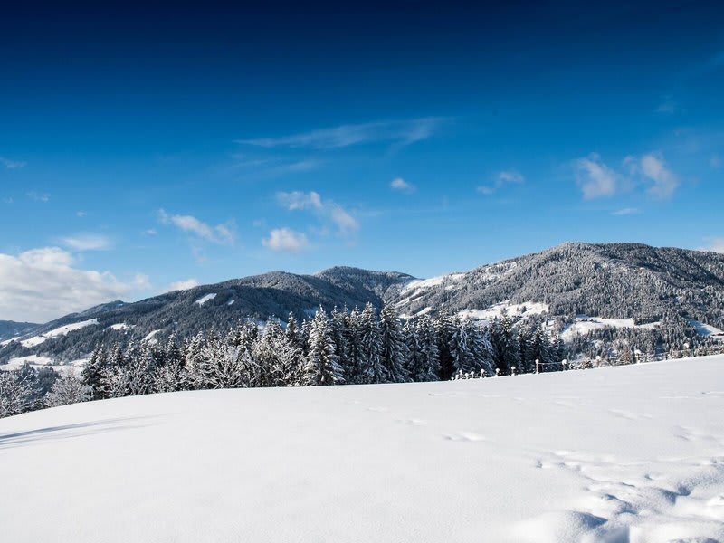 Hotel Alpenwelt Superior 1