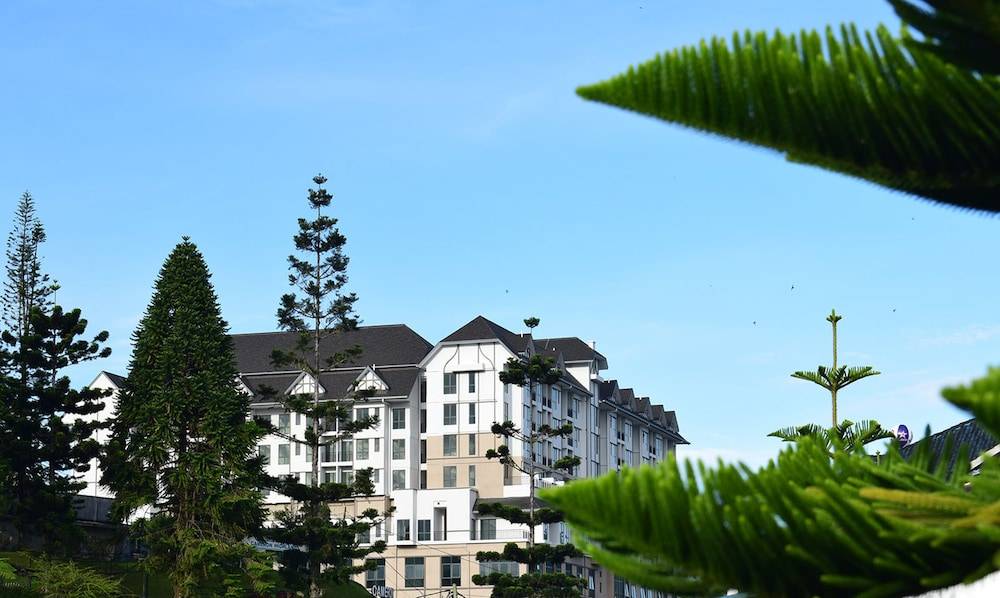 Avillion Cameron Highlands 1