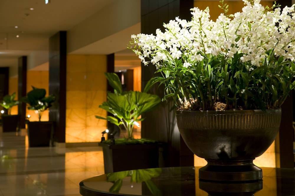 Sheraton Miyako Hotel Osaka 2