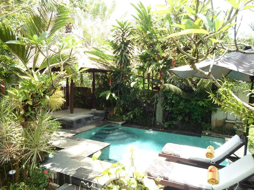 Lily Lane Villas 1