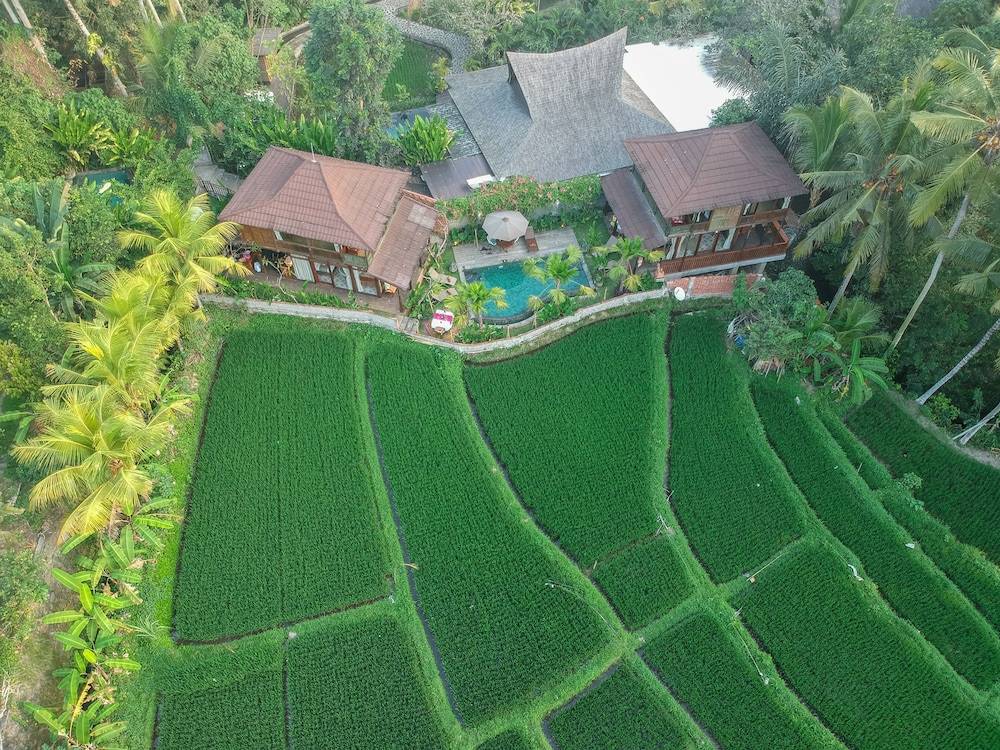 Gusde House Villas 1