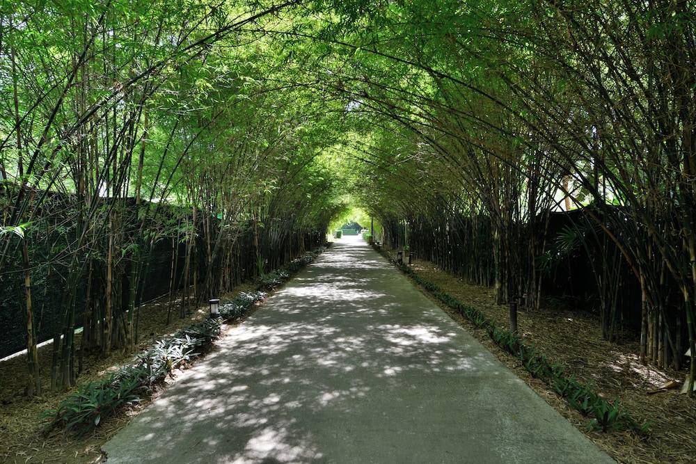 Twin Lotus Resort and Spa - SHA Plus - Adult Only "November - April" 2