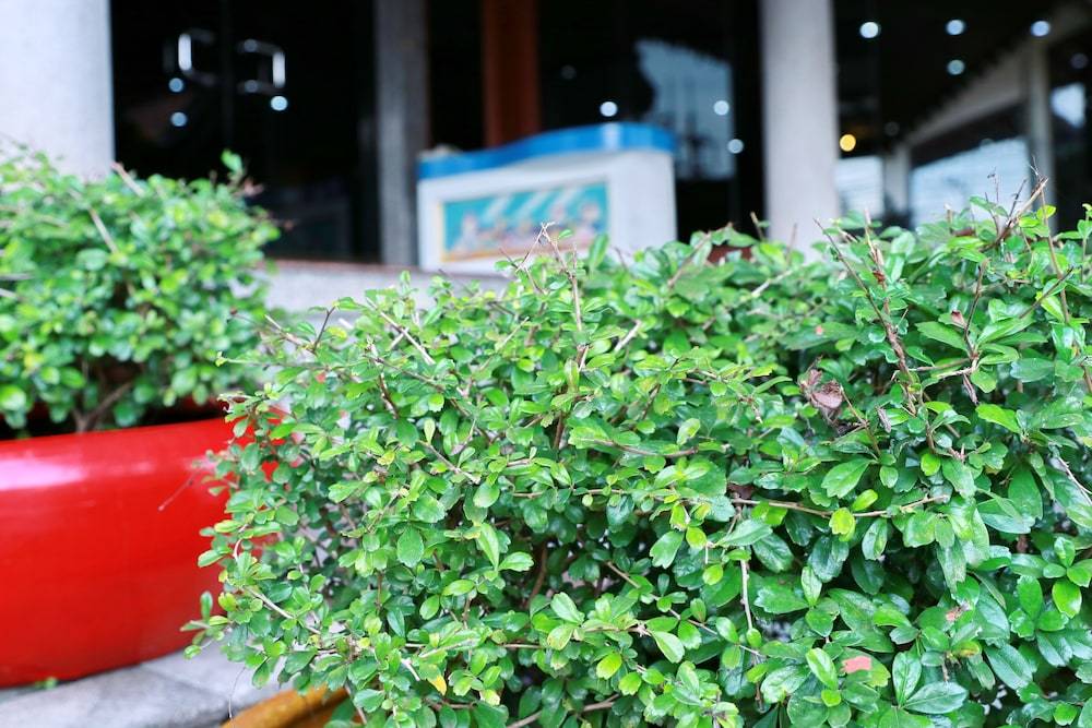 Krabi Royal Hotel 2