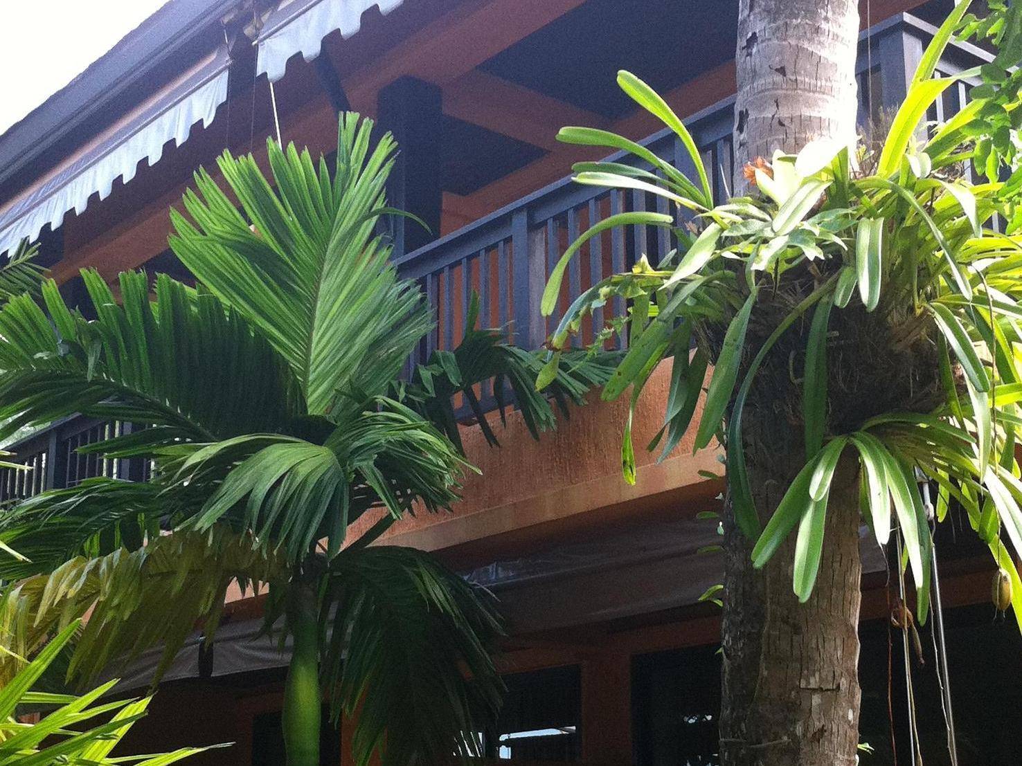 The Shambhala Khaolak Resort 1