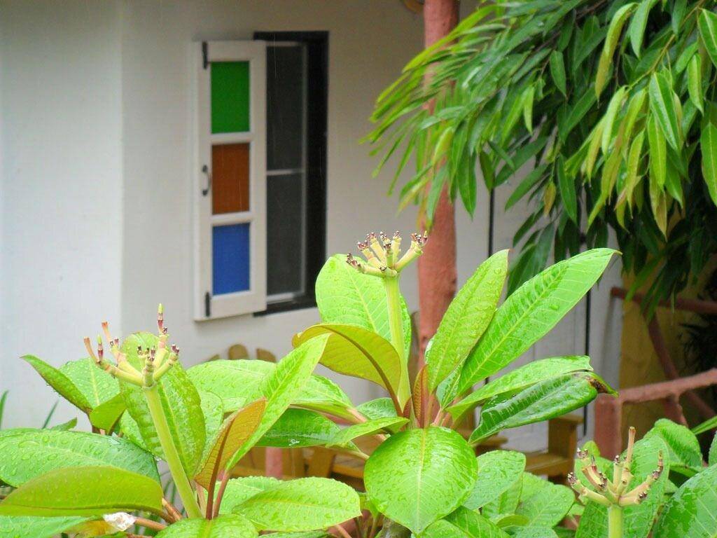 Khaolak Banana Bungalow 1