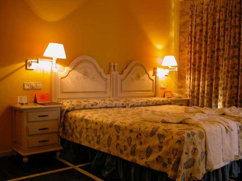 Hotel Palacio De La Viñona 2