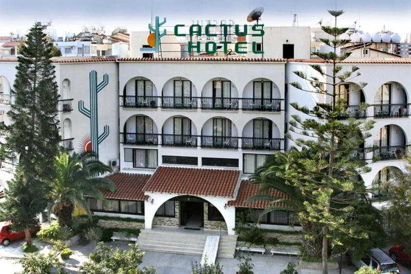 Cactus 1