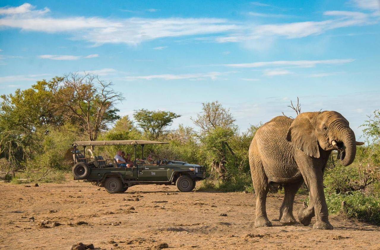 Tau Game Lodge 2
