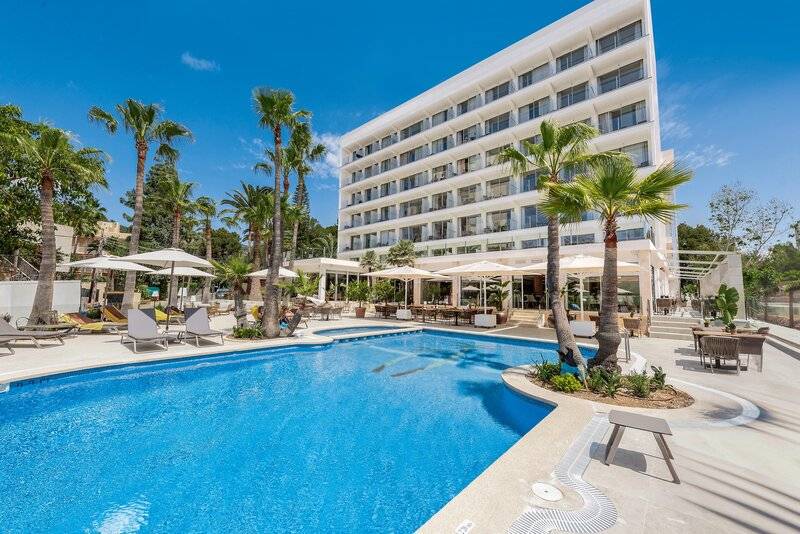 HOTEL PALMIRA CORMORAN 2