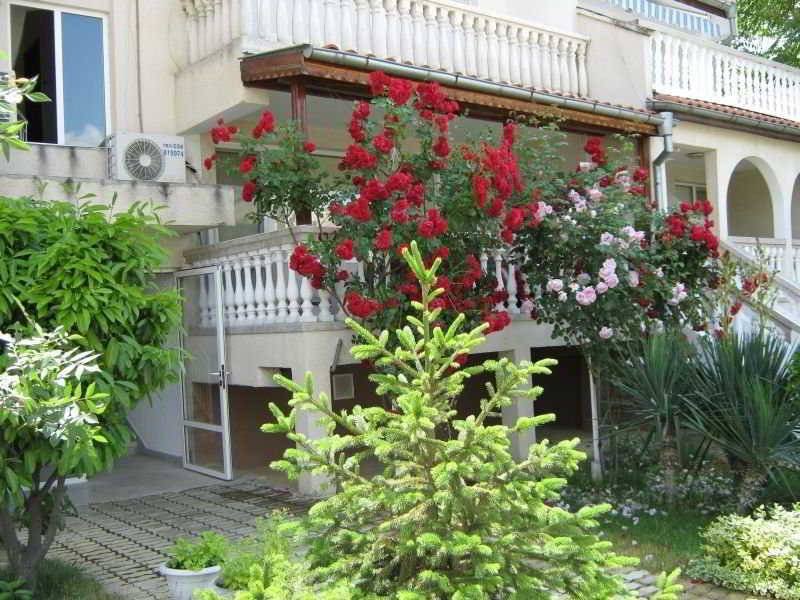 Apartments Bravo 1-Vichevi 1