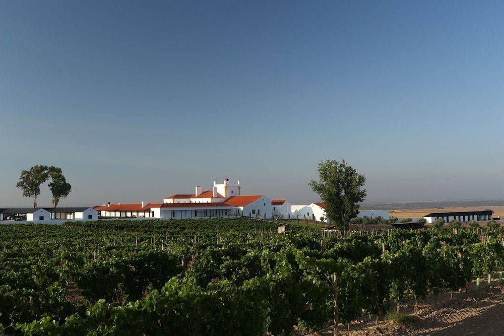 Torre de Palma Wine Hotel, Monforte, a Member of Design Hotels 1