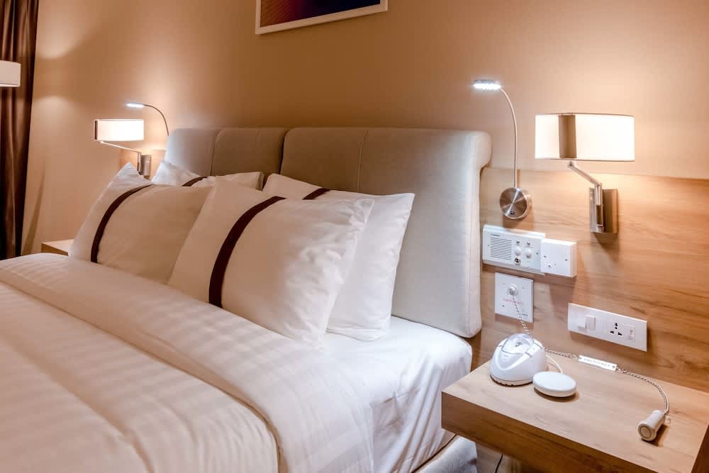 Holiday Inn ULAANBAATAR by IHG 2