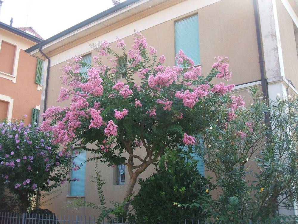B&B Accorsi 1