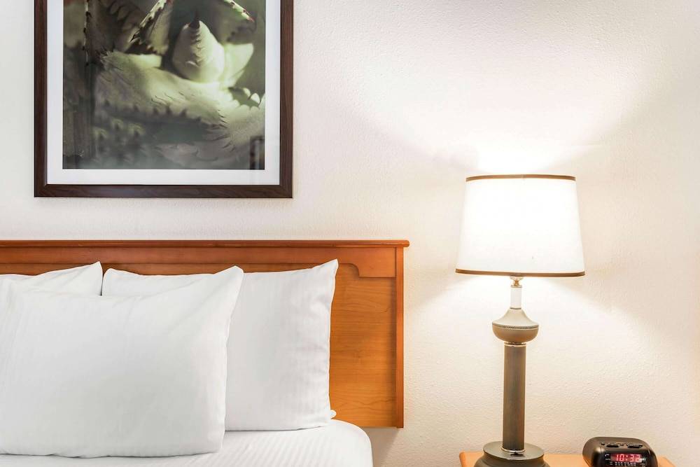 Baymont by Wyndham Orlando South 1