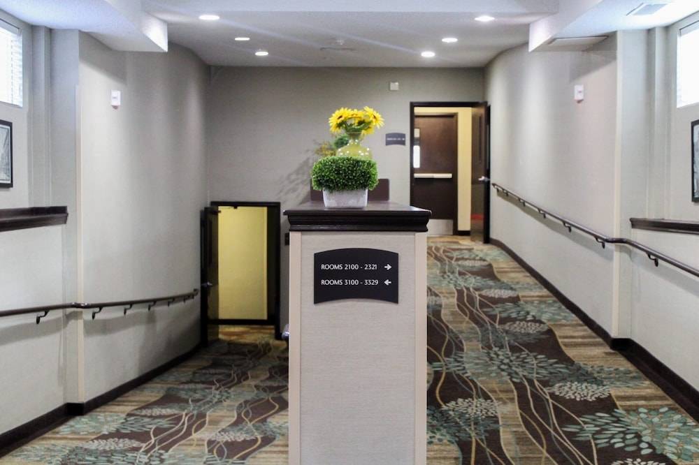 Staybridge Suites DENVER TECH CENTER by IHG 2