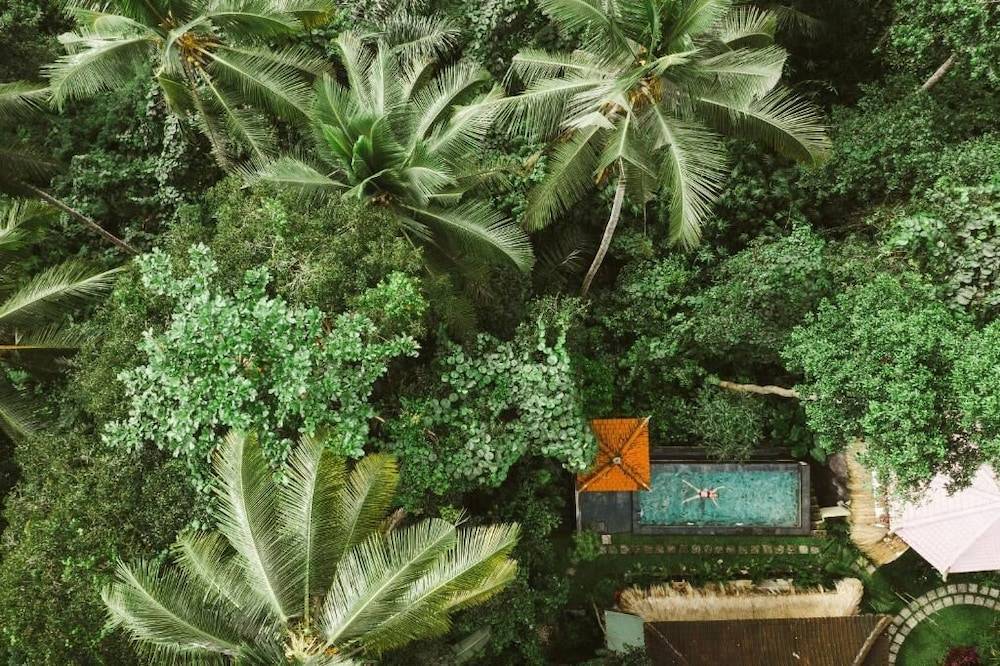 The Nest in Ubud 1