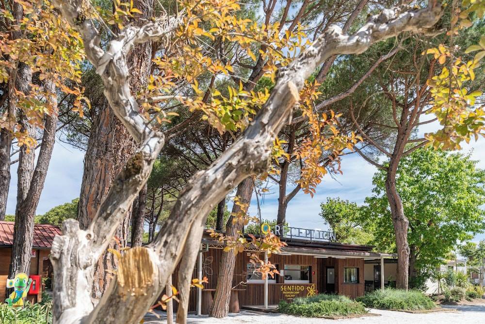 Club del Sole Viareggio Family Collection 2
