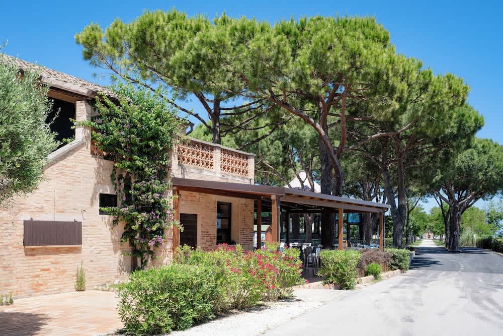 Club del Sole La Risacca Family Collection 2