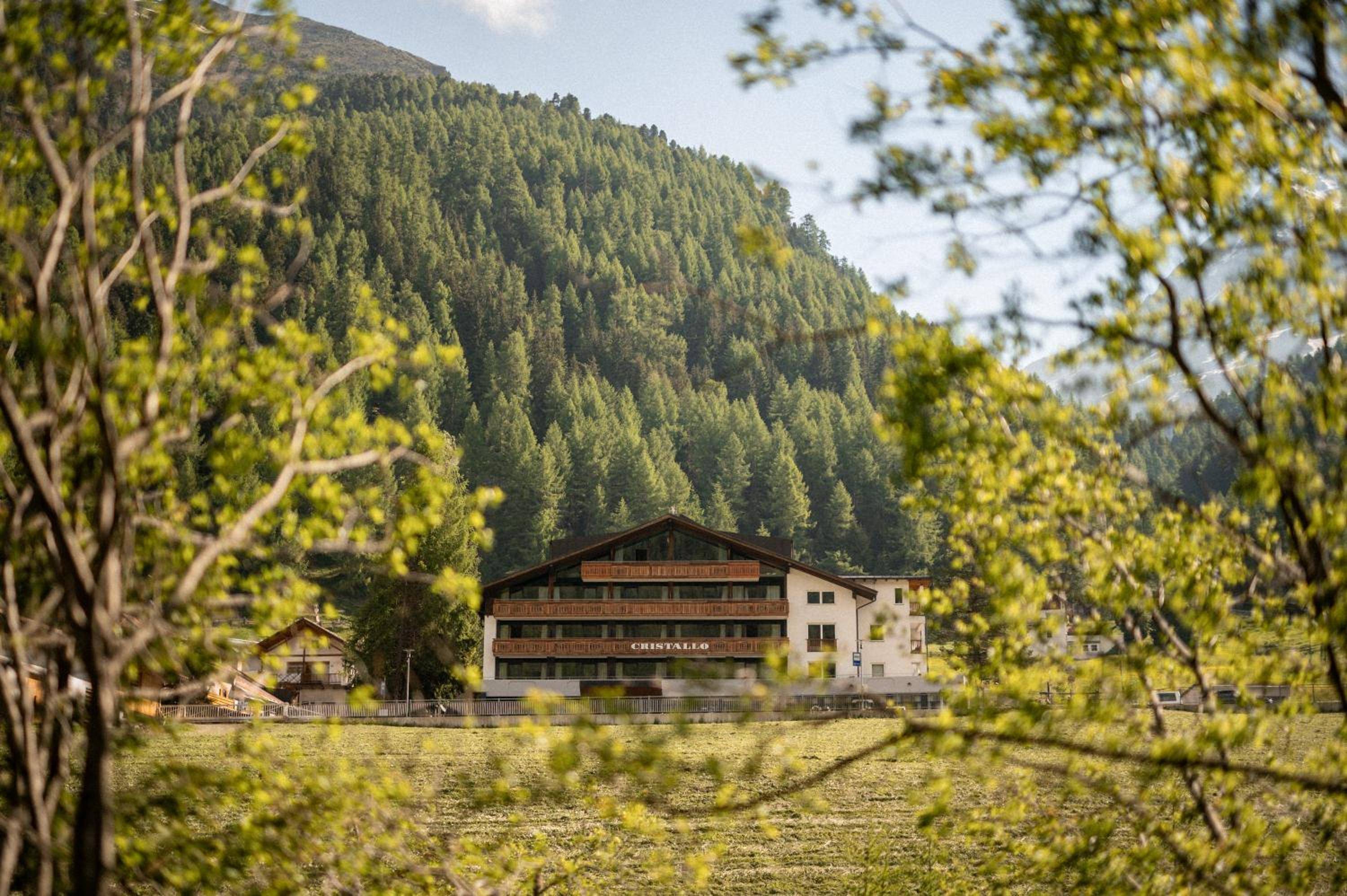 Hotel Cristallo 2