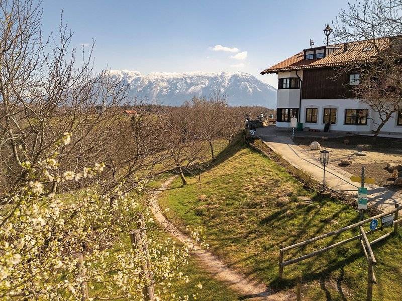 Neubichler Alm 1