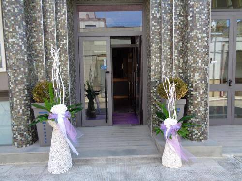 Hotel Airone 2