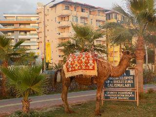 Semt Luna Beach Hotel 2