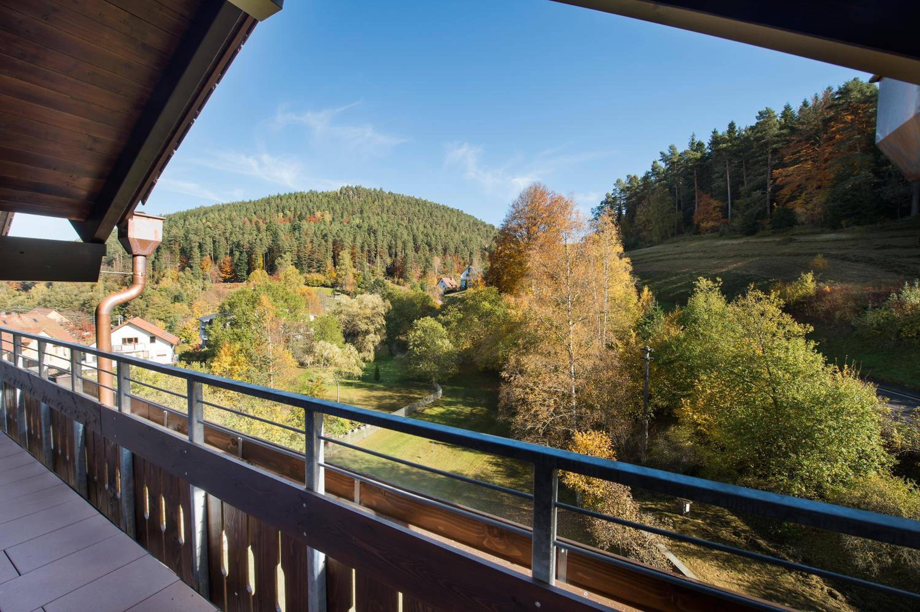 Hotel Schwarzwaldhof 2