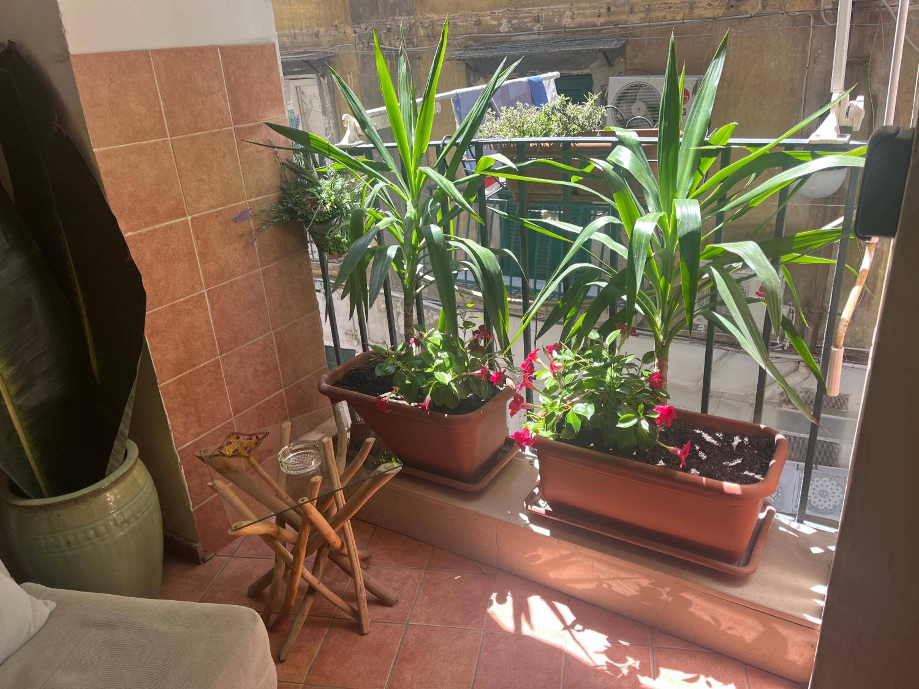 B&B Vicoli di Napoli 2