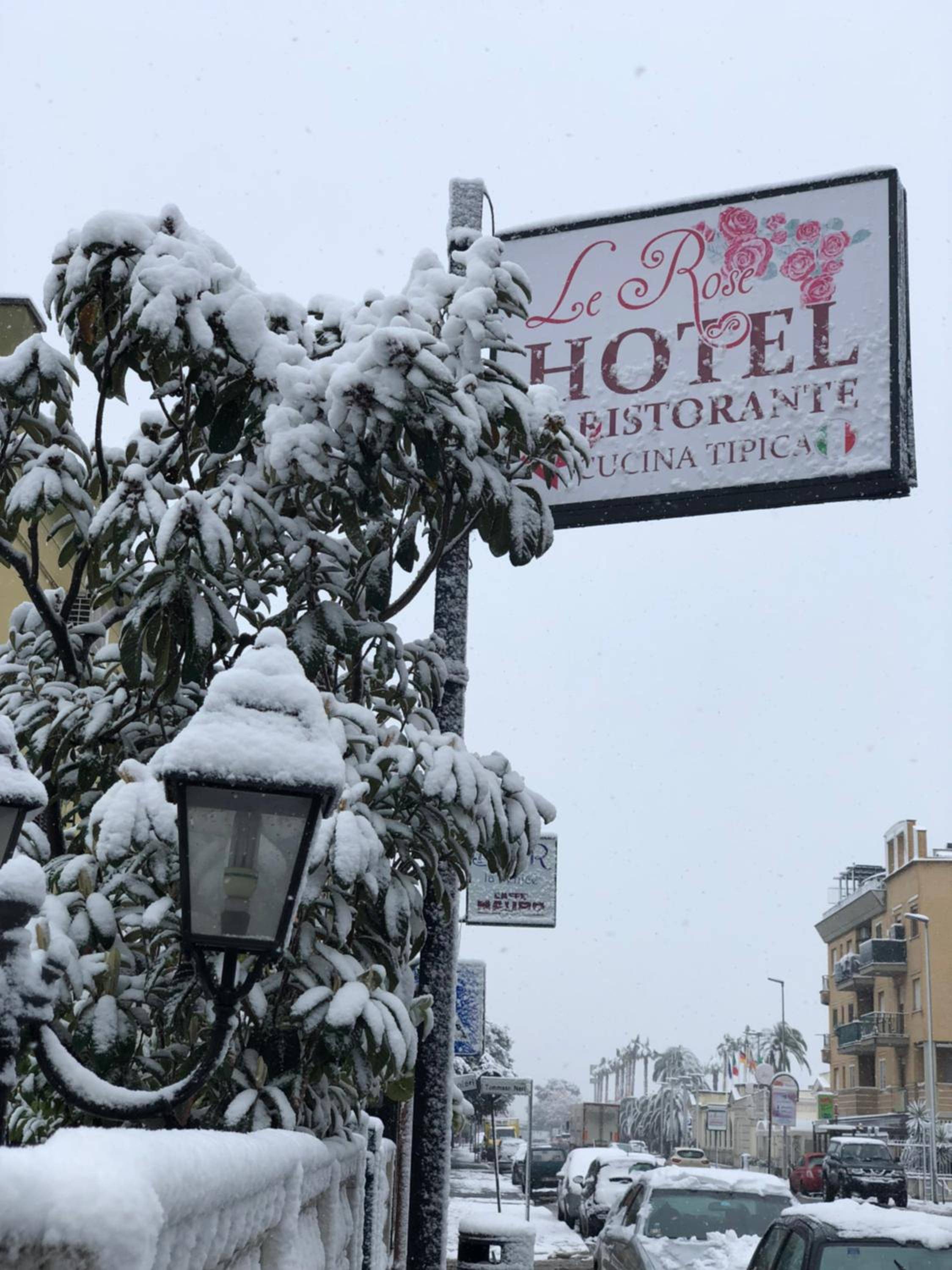 Hotel Le Rose 2