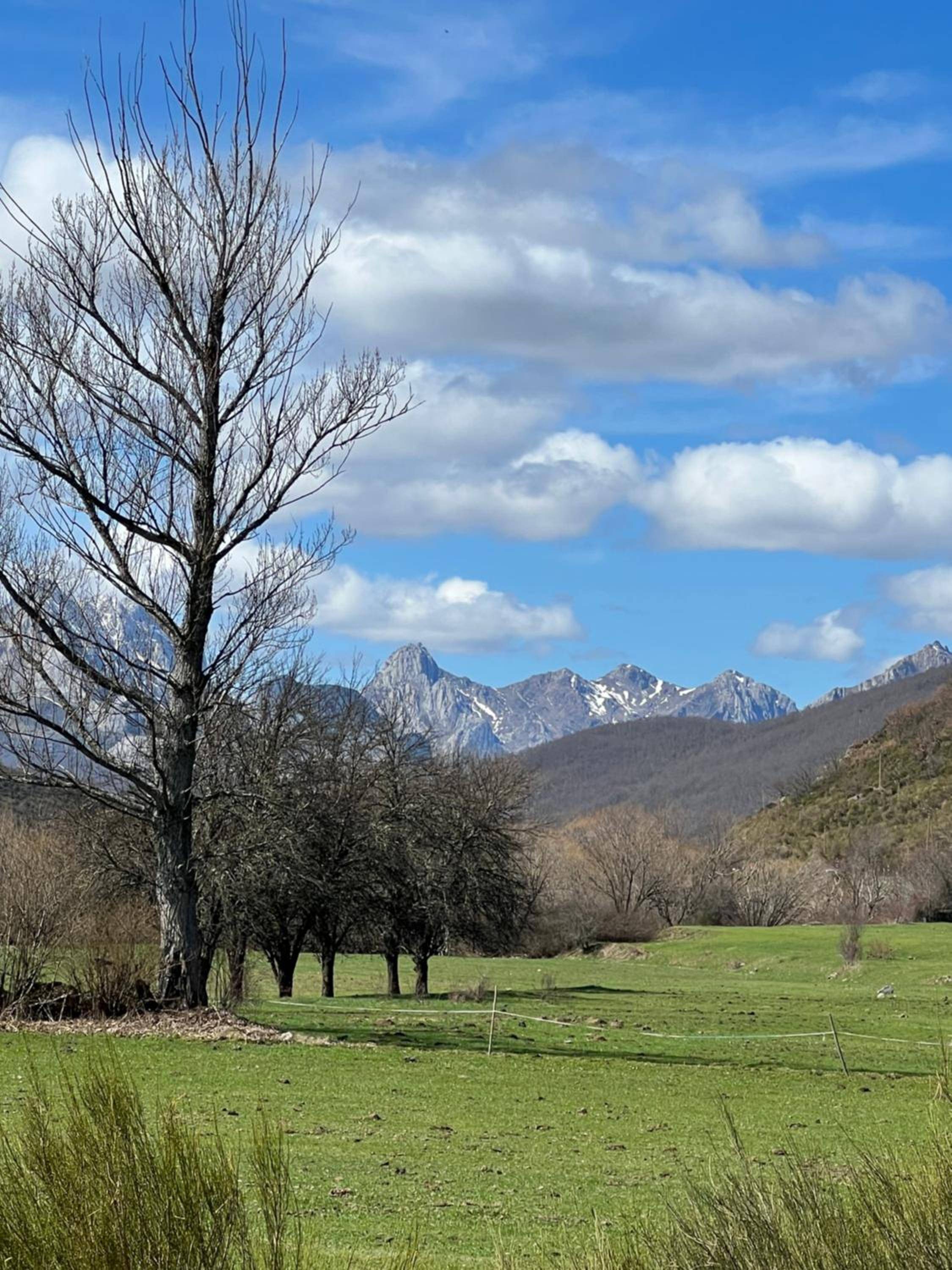 Tierra de la Reina 2