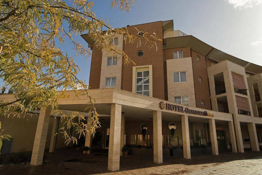 Hotel Granducato 1