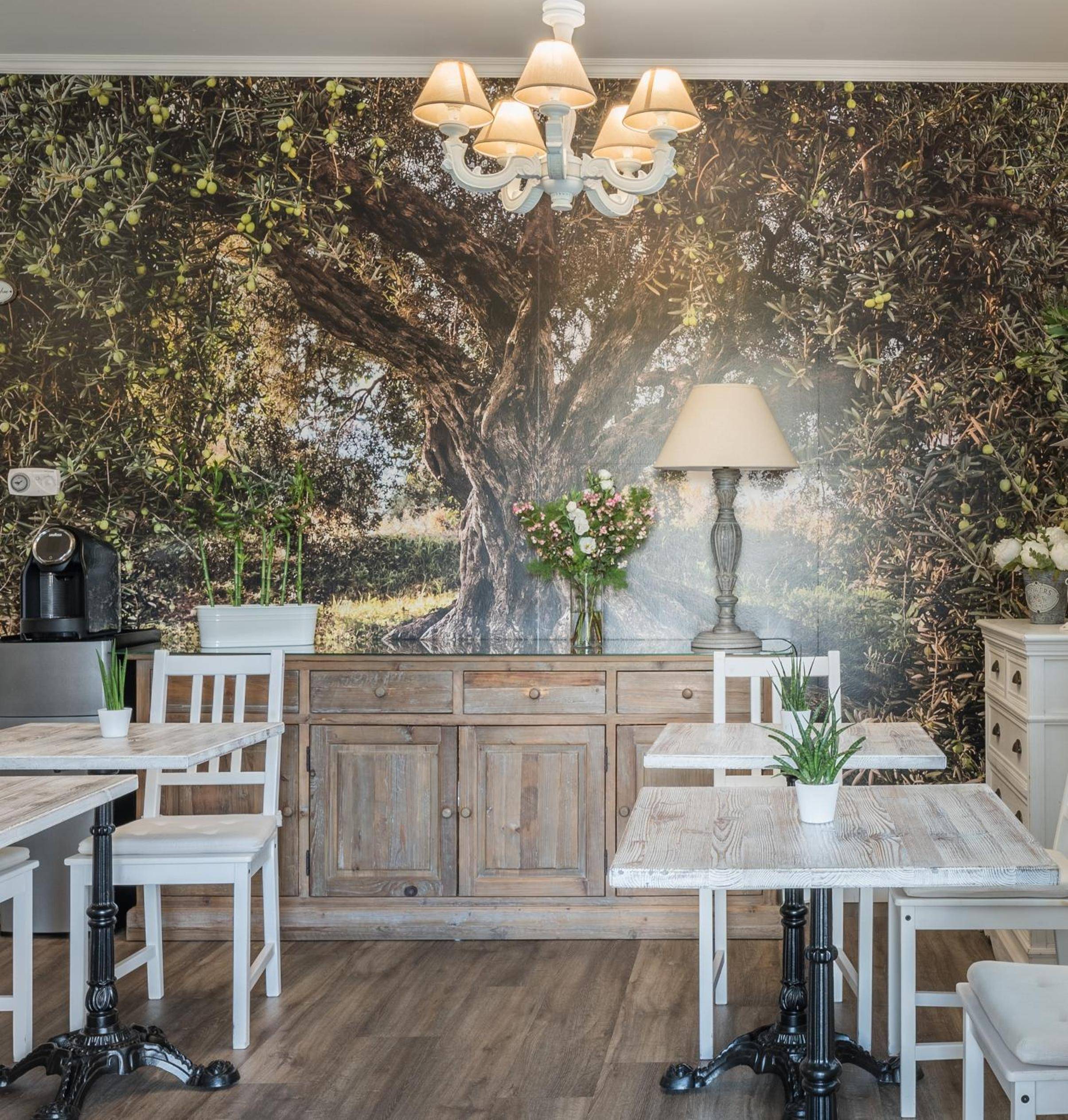 B&B L'Ulivo Fiumicino 2